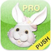 Easter Countdown Pro Icon